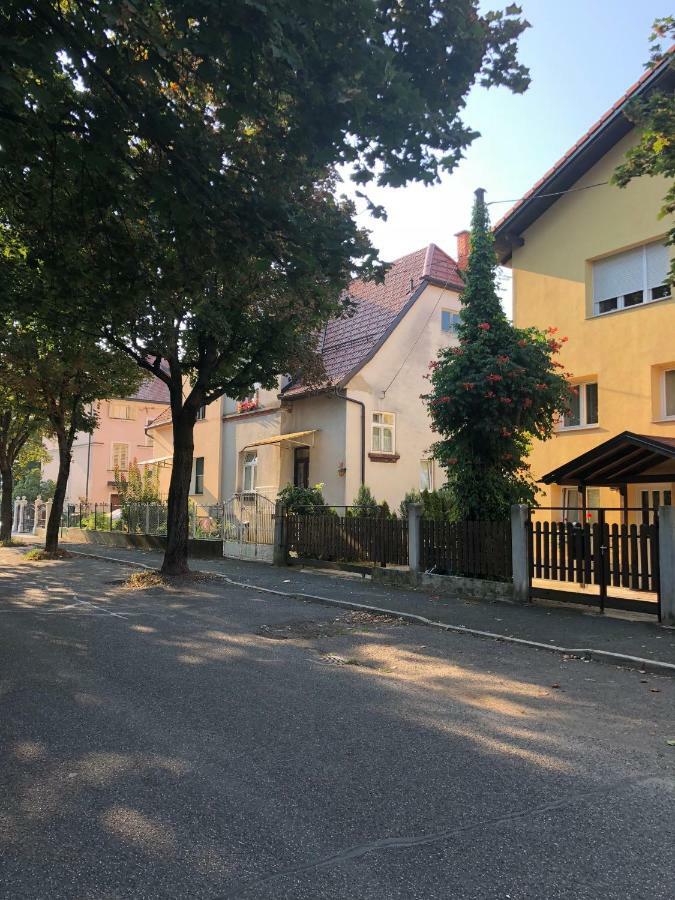 מריבור Apartma Delavska מראה חיצוני תמונה
